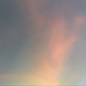 Meet your Posher, Elena